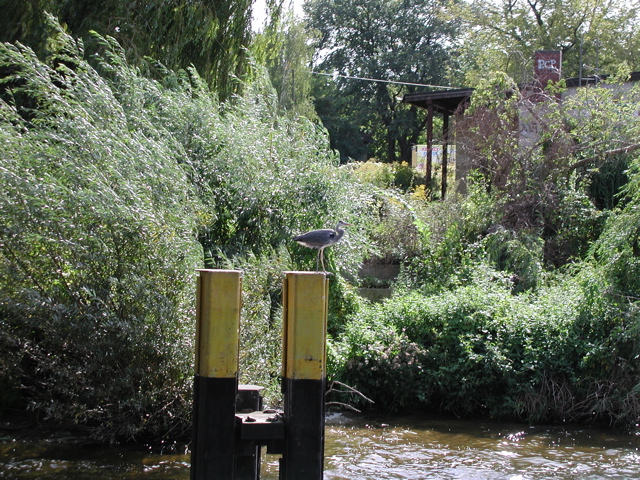 P9150005.JPG