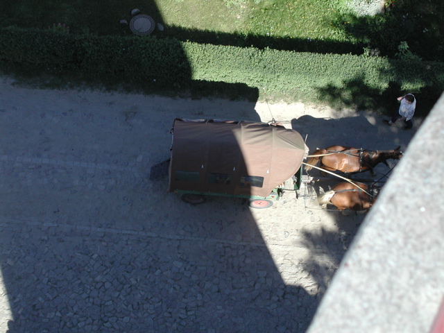 P9090016.JPG