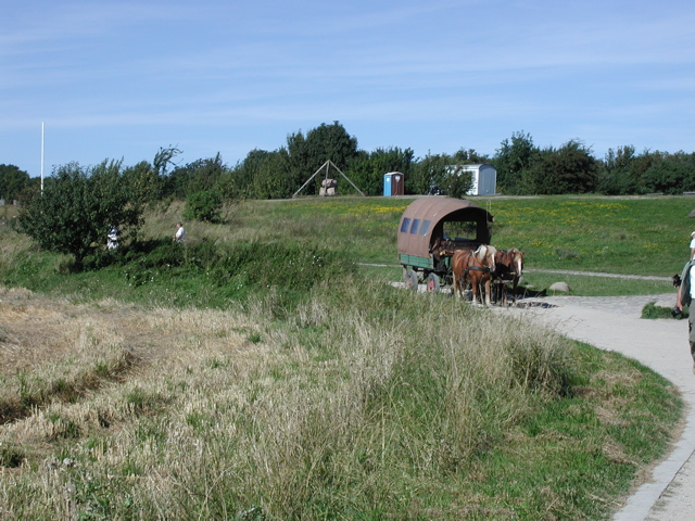 P9090022.JPG