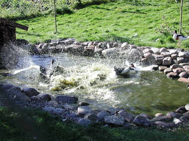 P9090031.JPG