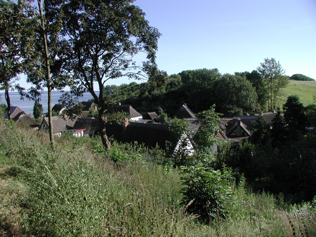 P9090033.JPG