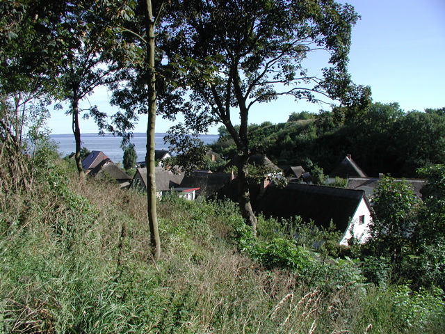 P9090034.JPG