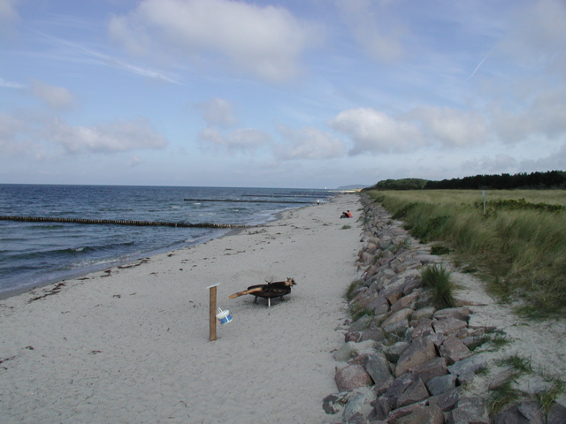 P1010094.JPG