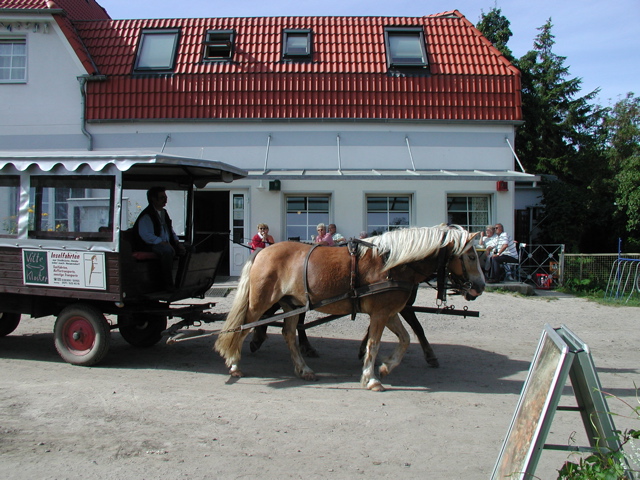 P1010105.JPG