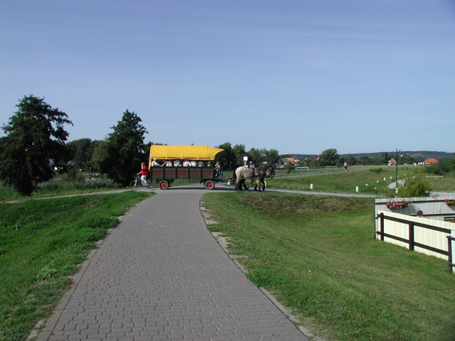 P1010112.JPG