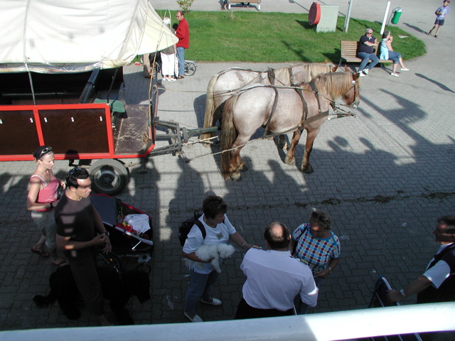 P1010113.JPG