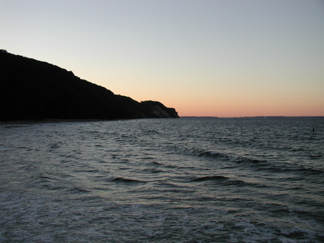 P9080036.JPG