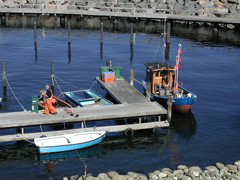 P9090002.JPG