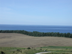 P9090014.JPG