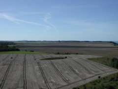 P9090015.JPG