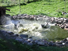 P9090031.JPG