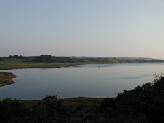 P1010151.JPG