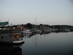 P1010154.JPG