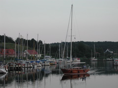 P1010155.JPG