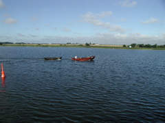P1010087.JPG