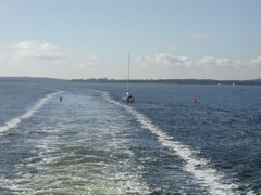 P1010089.JPG