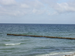 P1010092.JPG