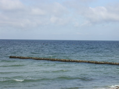 P1010093.JPG