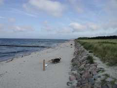 P1010094.JPG
