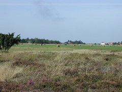 P1010096.JPG