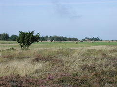 P1010097.JPG
