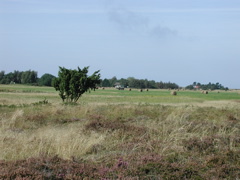 P1010099.JPG