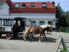 P1010105.JPG
