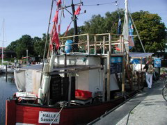 P1010107.JPG