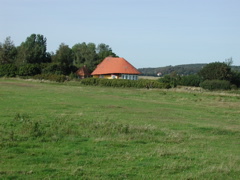 P1010111.JPG