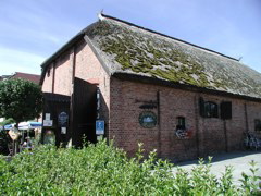 P8090013.JPG