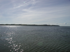 P8090003.JPG