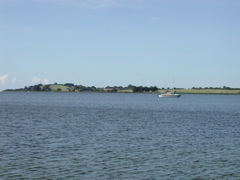 P8090004.JPG