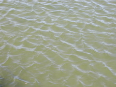 P8090005.JPG