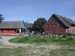 P8090007.JPG