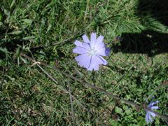 P8090011.JPG