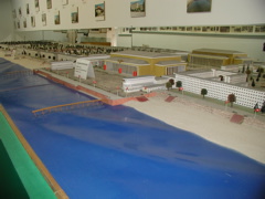 P9080020.JPG