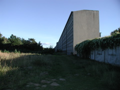 P9080026.JPG