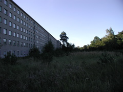 P9080027.JPG