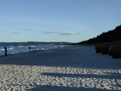 P9080028.JPG