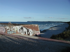 P9080031.JPG