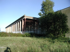 P9080032.JPG