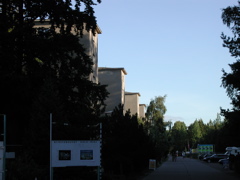P9080033.JPG