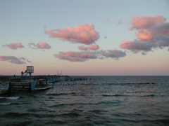 P9080034.JPG