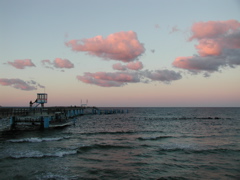 P9080035.JPG