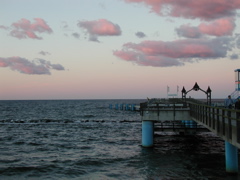 P9080037.JPG